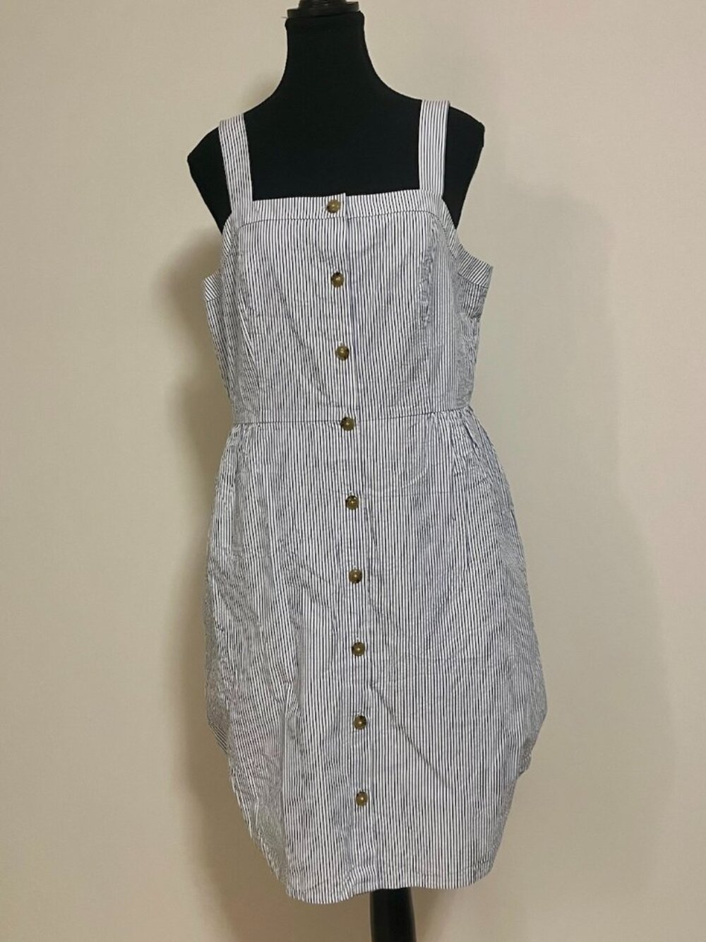 J.Crew Blue and White Pinstripe Cotton Button Down Dress